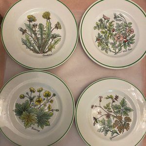 Set of 8 Tiffany & Co Wild Flowers dessert plates